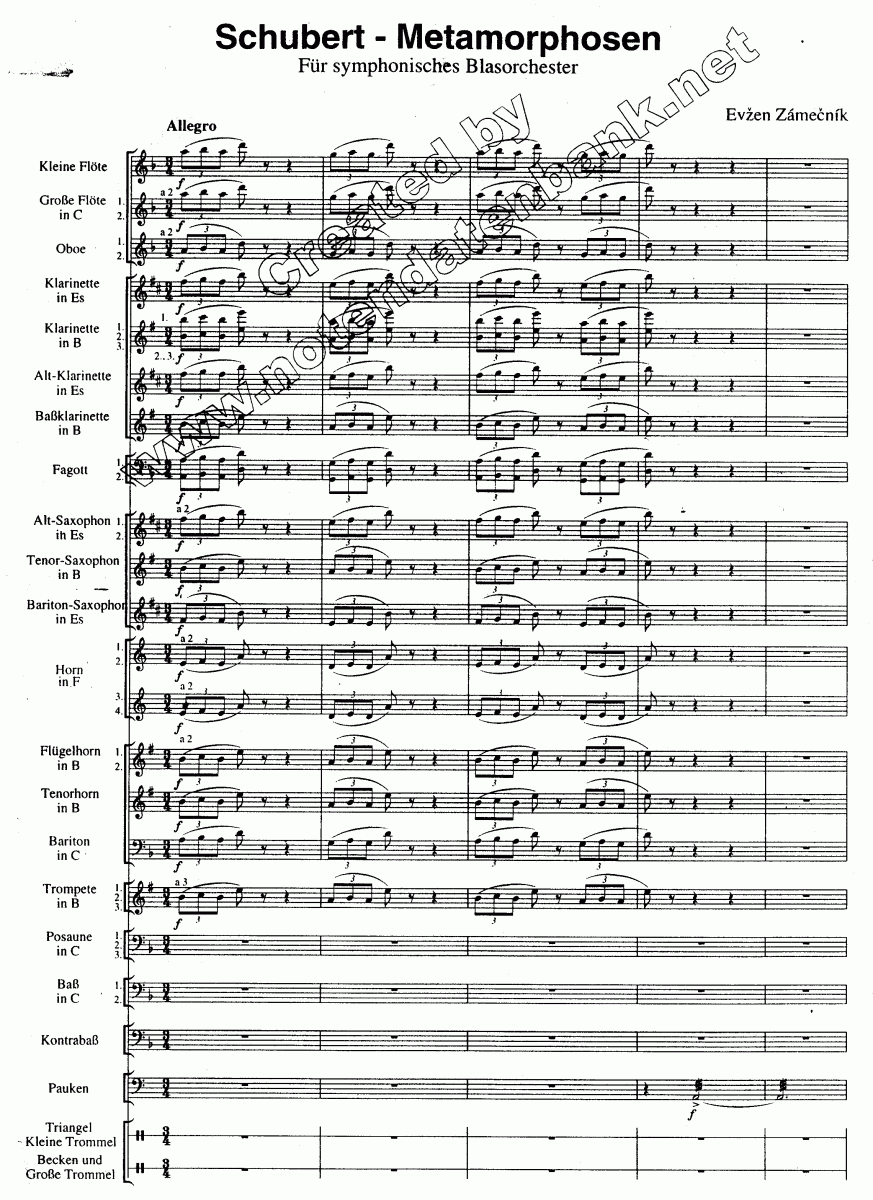 Schubert Matamorphosen - Notenbeispiel